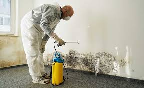 Mold Remediation for Vacation Homes in Langhorne Manor, PA