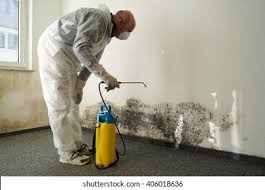 Best Commercial Mold Inspection  in Langhorne Manor, PA